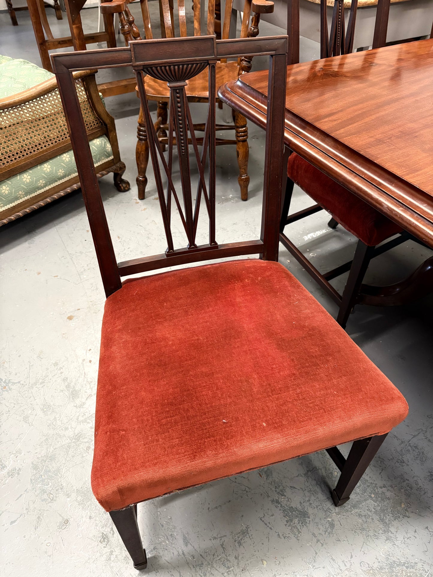 Set of Six 19th century Elegant mahogany dining chairs with Rust coloured seats