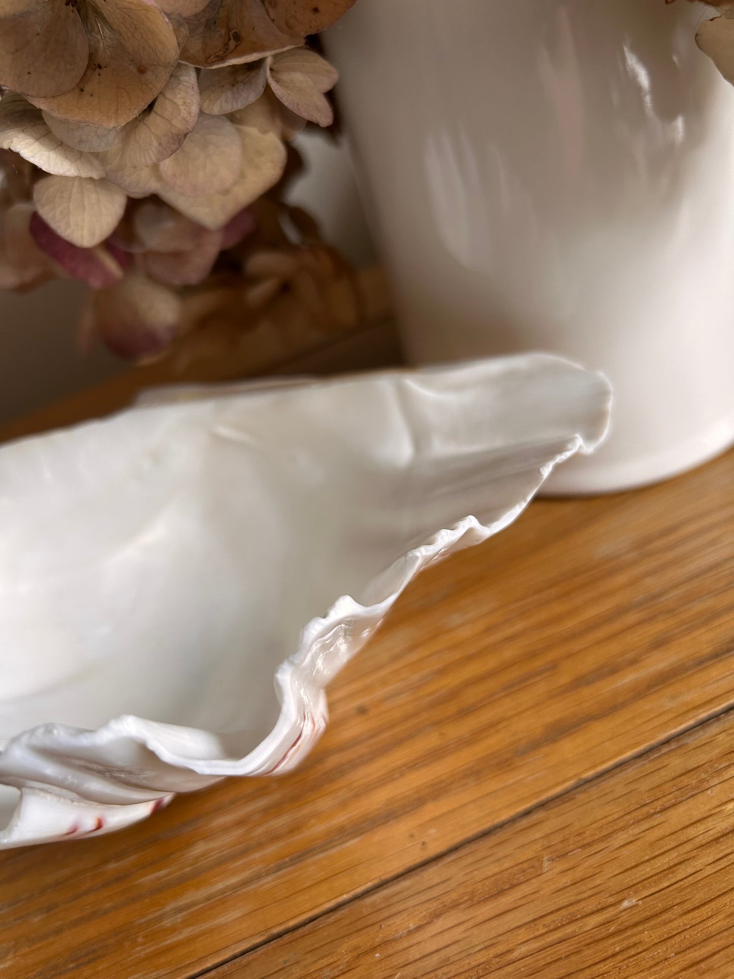 Natural Hippopus Clam shell Great collectors or decorative use soap dish
