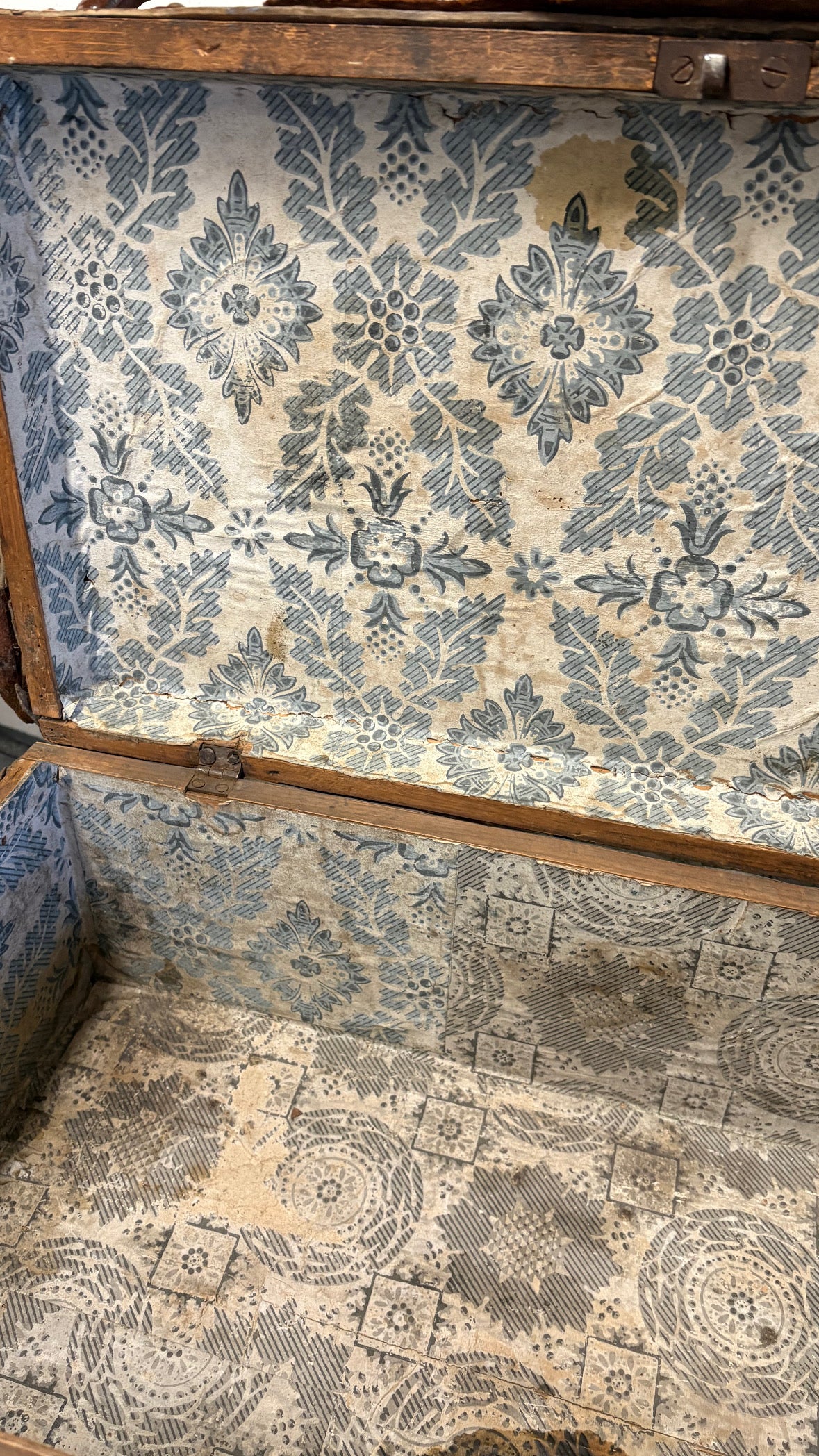 Rare Irish 19th Century Hide covered trunk Stud detail SB Initial