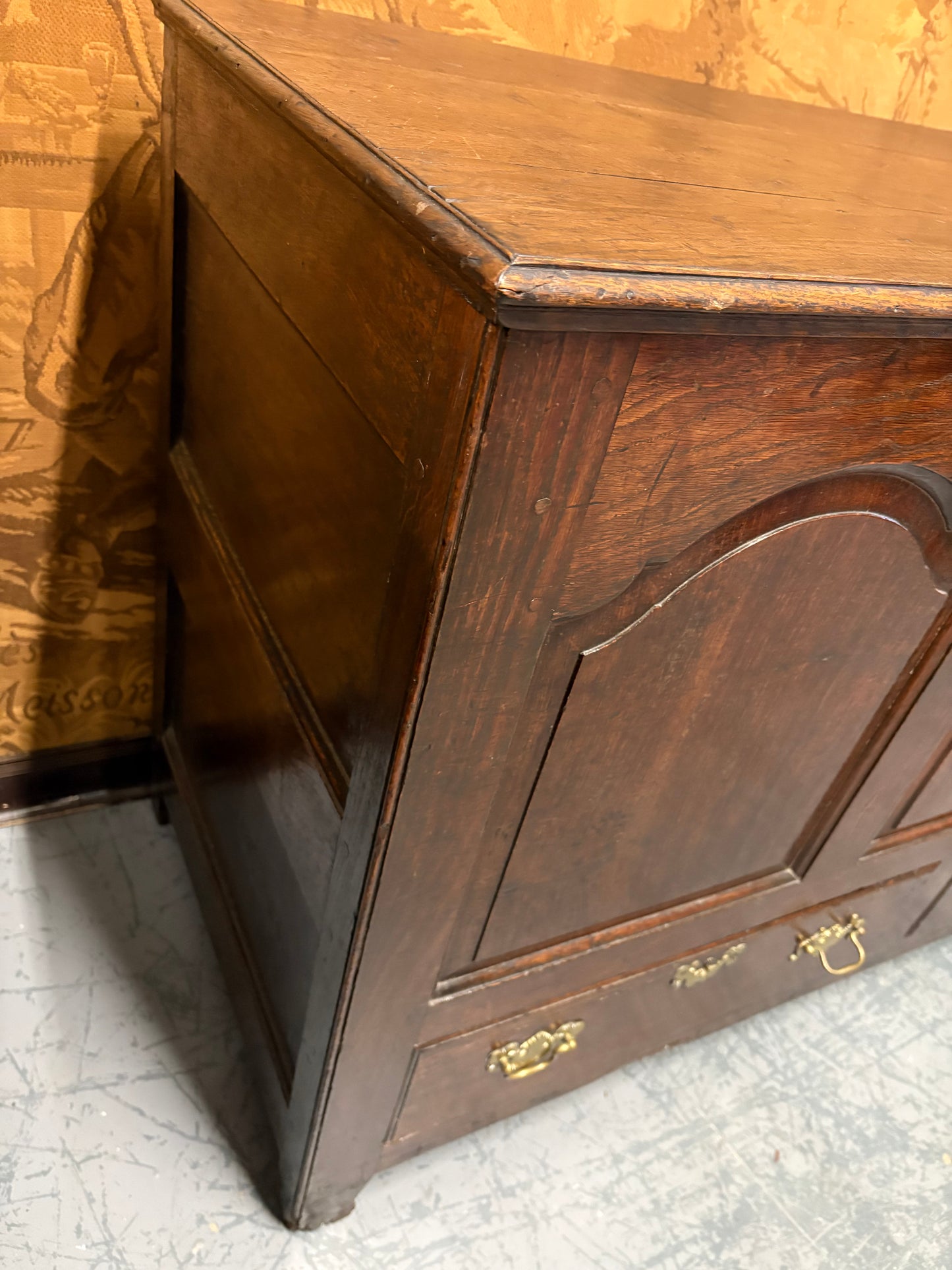 Large Antique 18thC Country House Paneled Oak Mule Chest