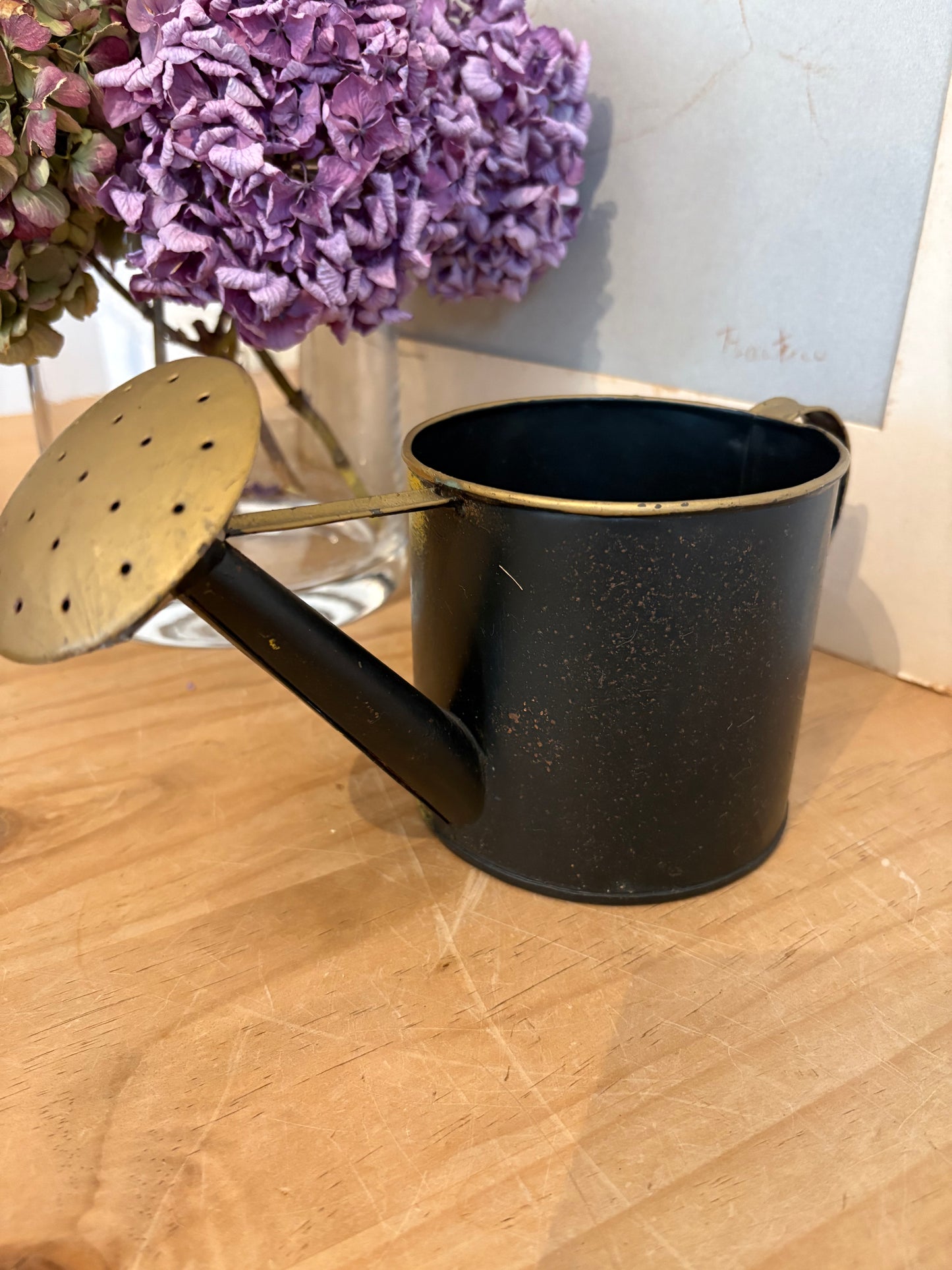 Vintage metal hand painted watering can plant pot