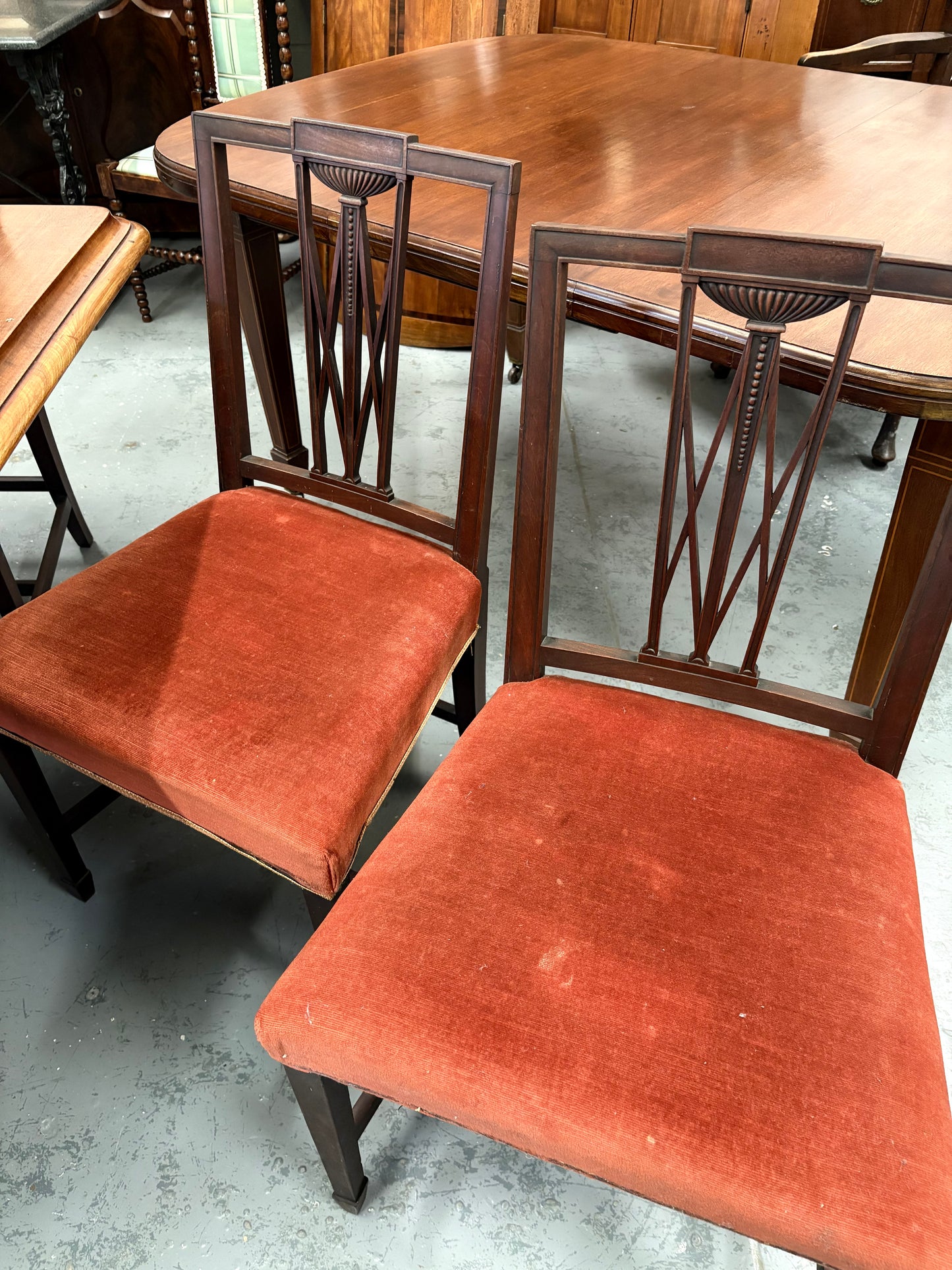 Set of Six 19th century Elegant mahogany dining chairs with Rust coloured seats
