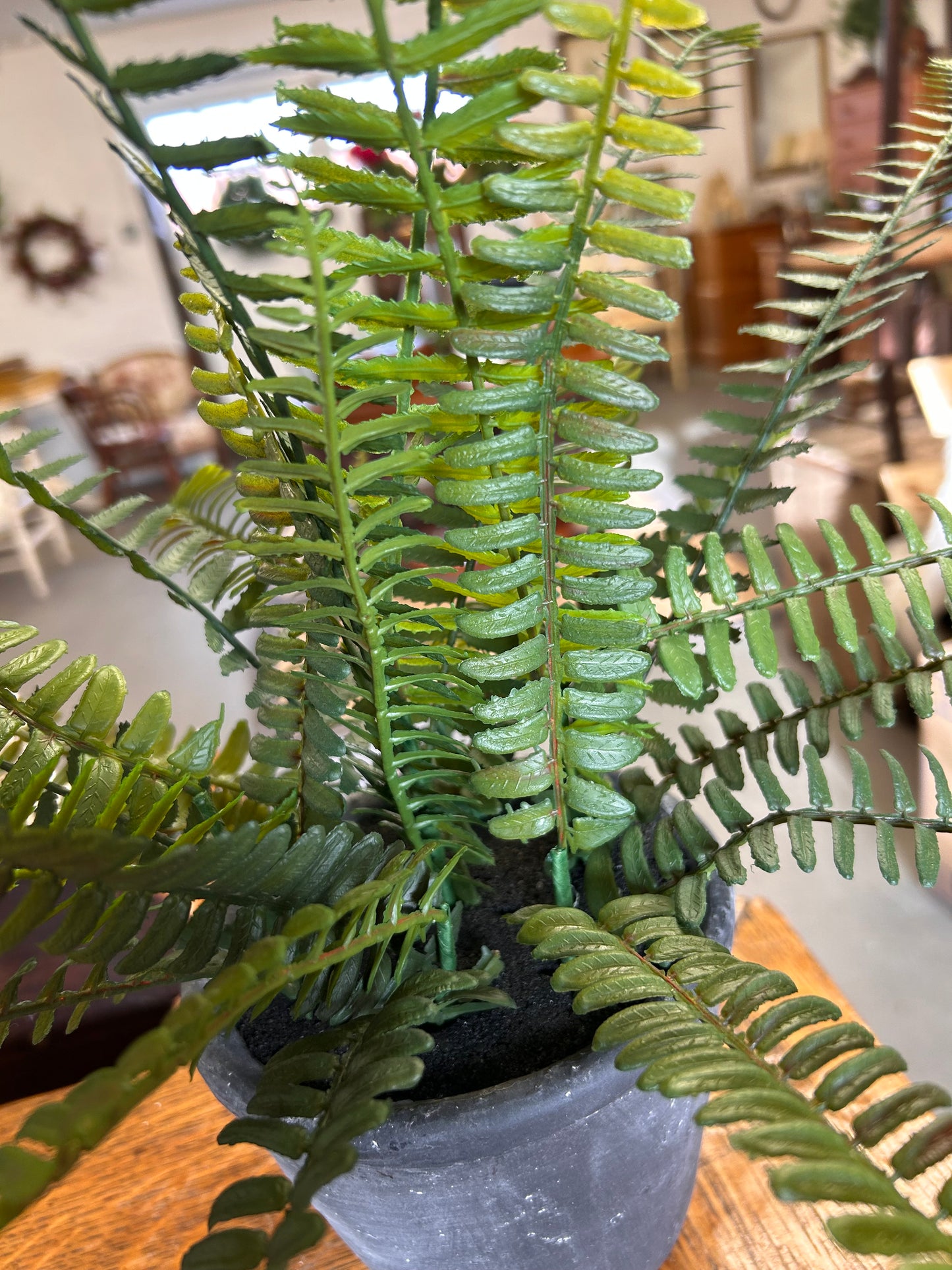 Faux potted Fern plant in heavy concrete grey pot