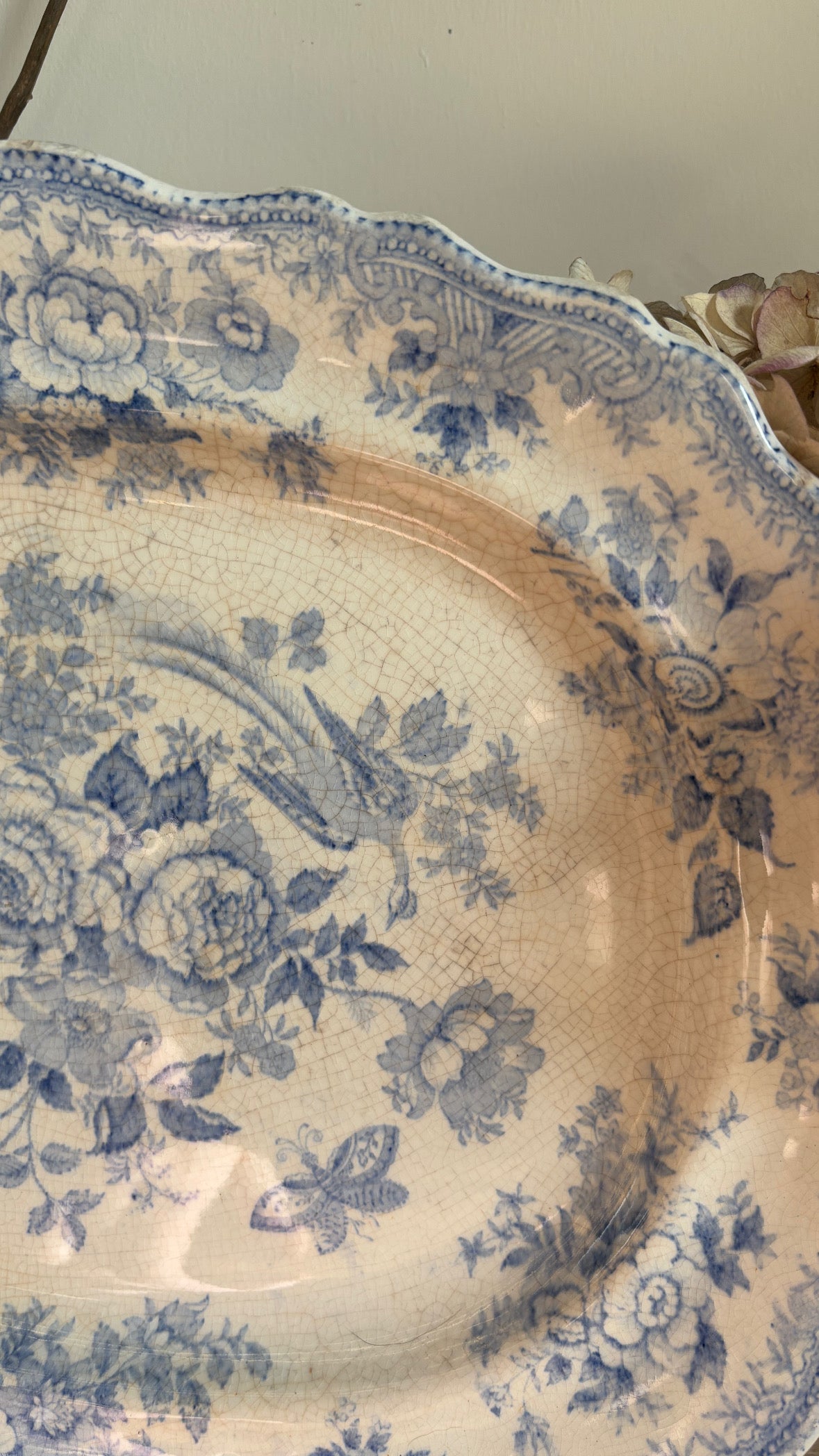 19th century large asiatic pheasant serving platter victorian antique ￼