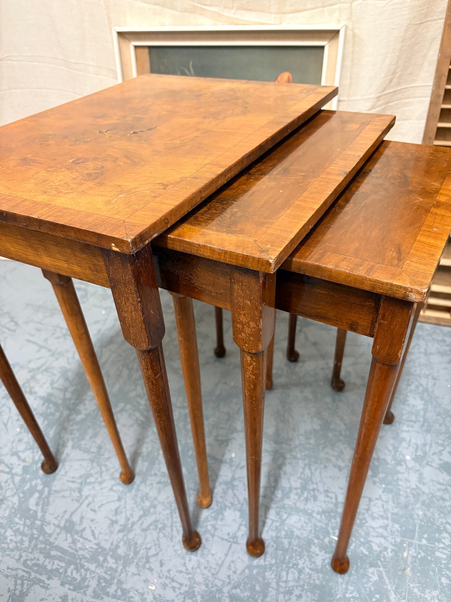 Nest of Antique Burr Walnut Coffee / lamp side / living room tables