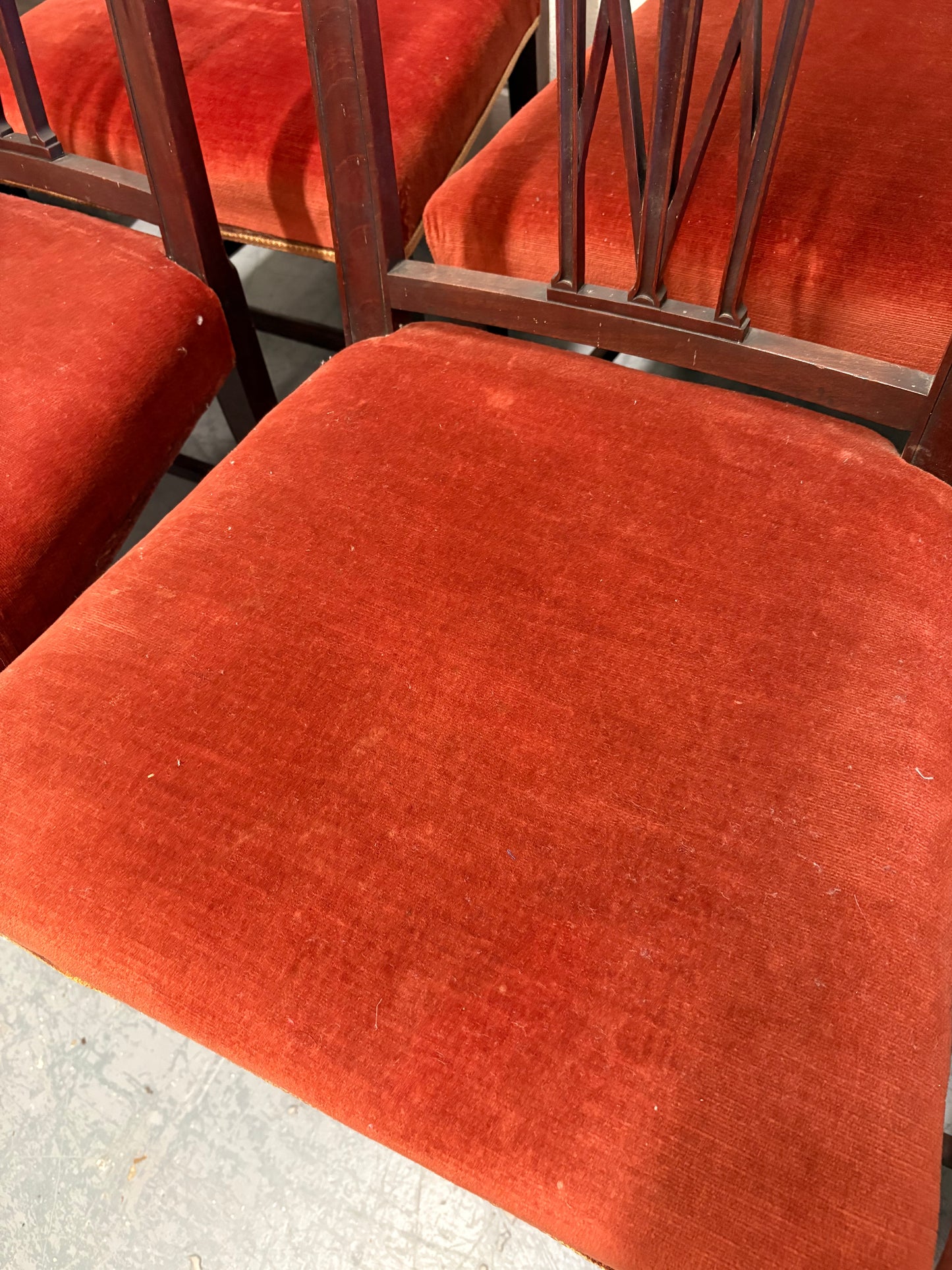 Set of Six 19th century Elegant mahogany dining chairs with Rust coloured seats