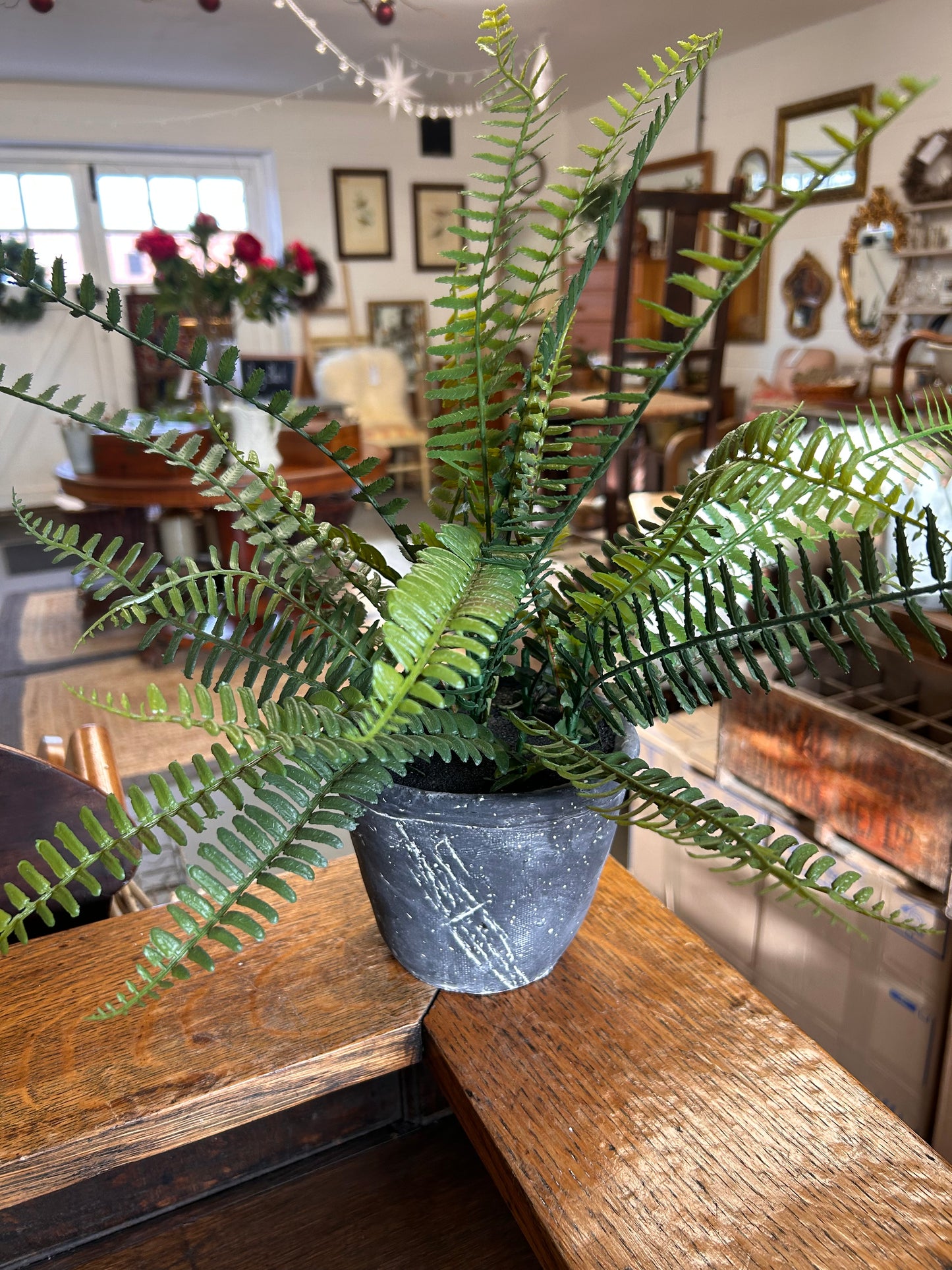 Faux potted Fern plant in heavy concrete grey pot