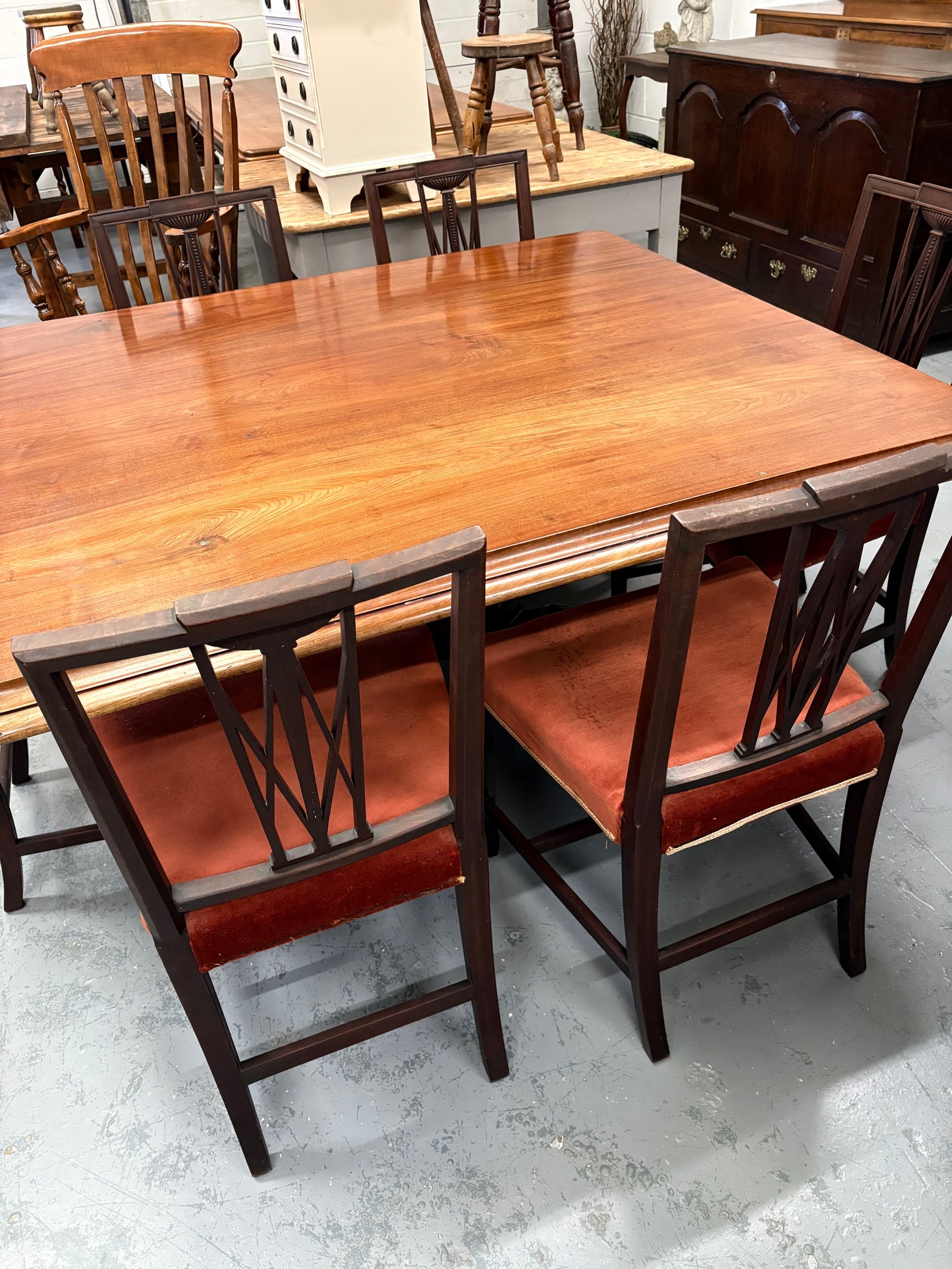 Set of Six 19th century Elegant mahogany dining chairs with Rust coloured seats