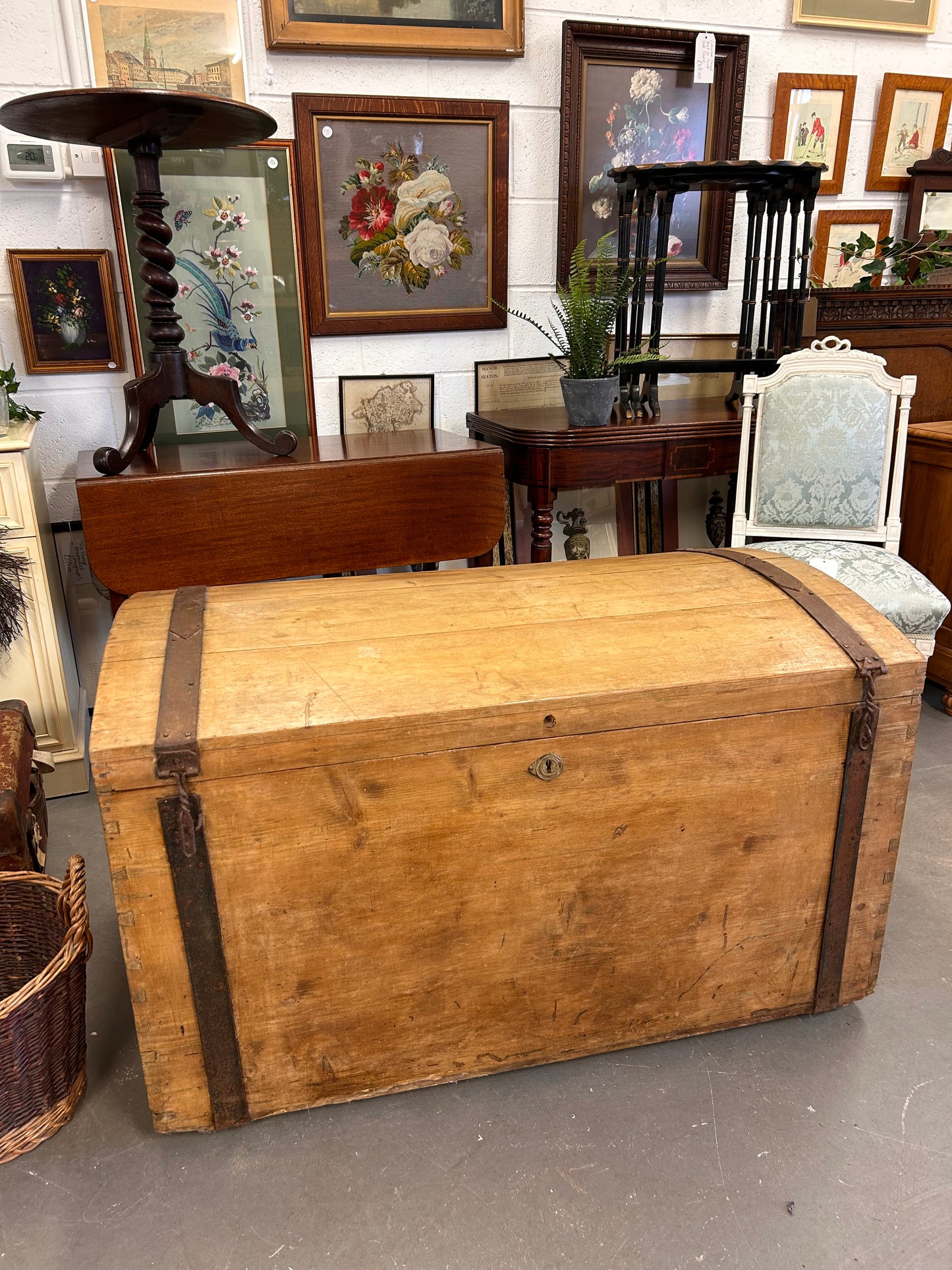 HUGE Late 19thC Pine and metal bound dome topped trunk