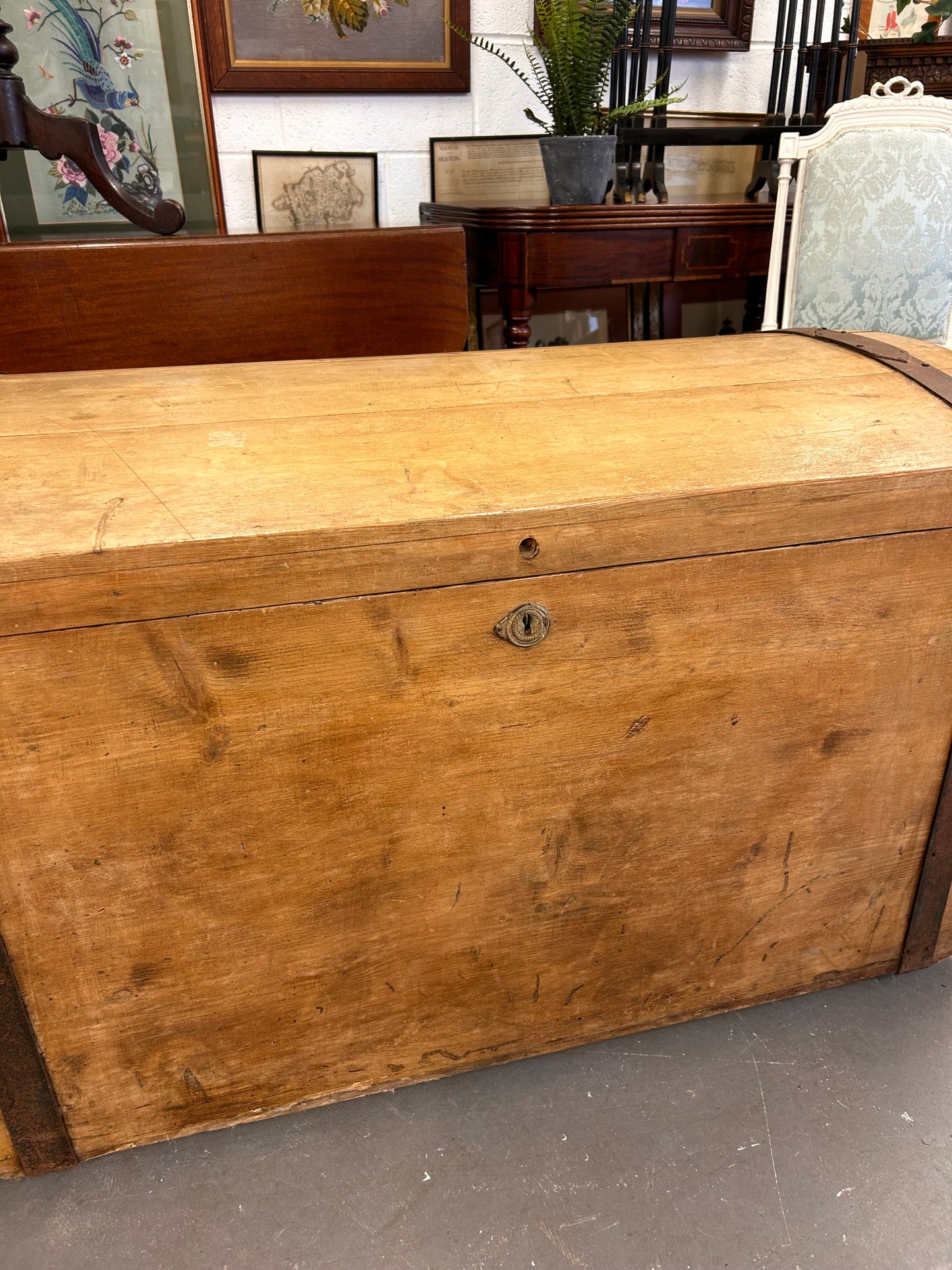 HUGE Late 19thC Pine and metal bound dome topped trunk