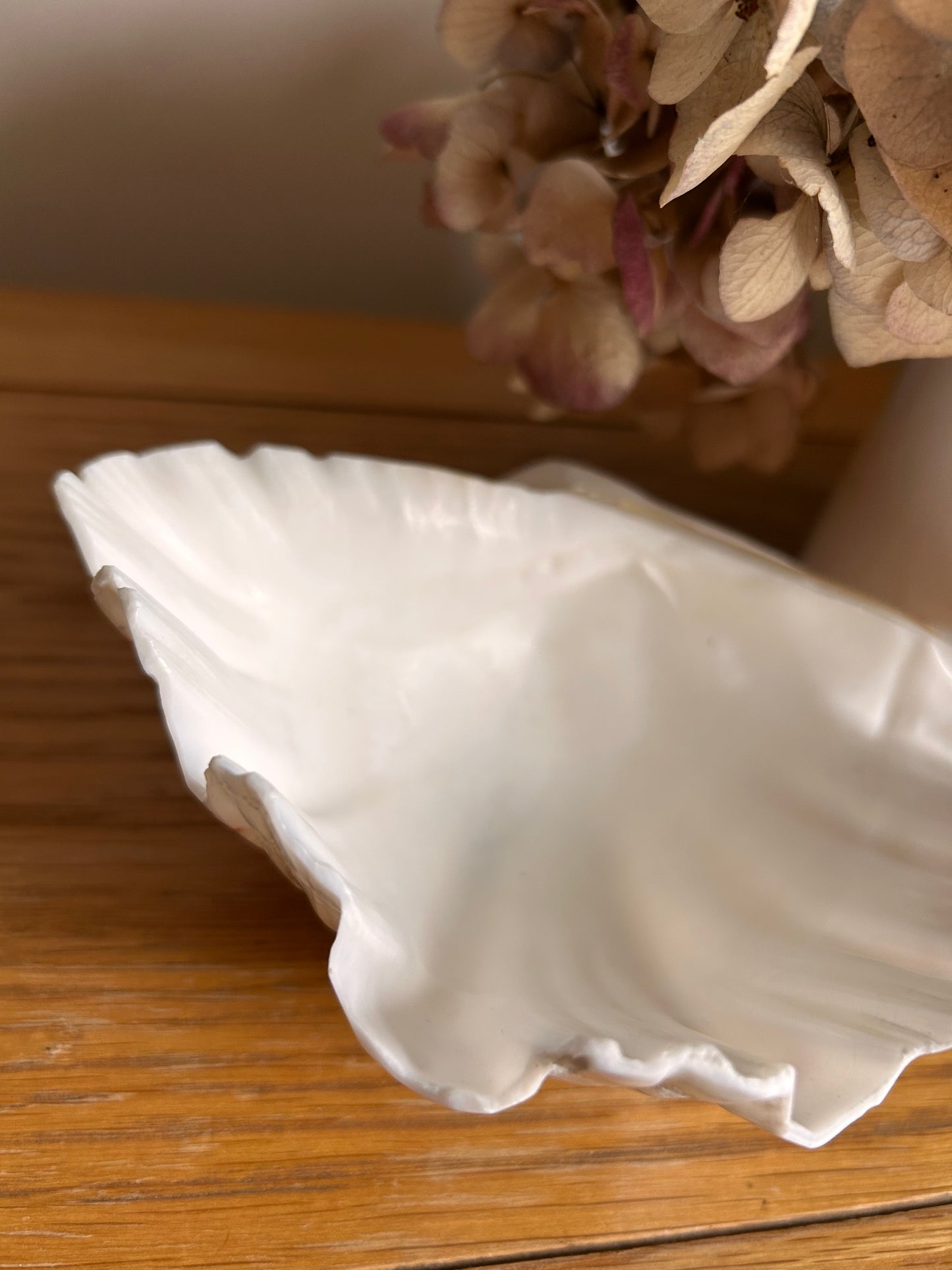 Natural Hippopus Clam shell Great collectors or decorative use soap dish