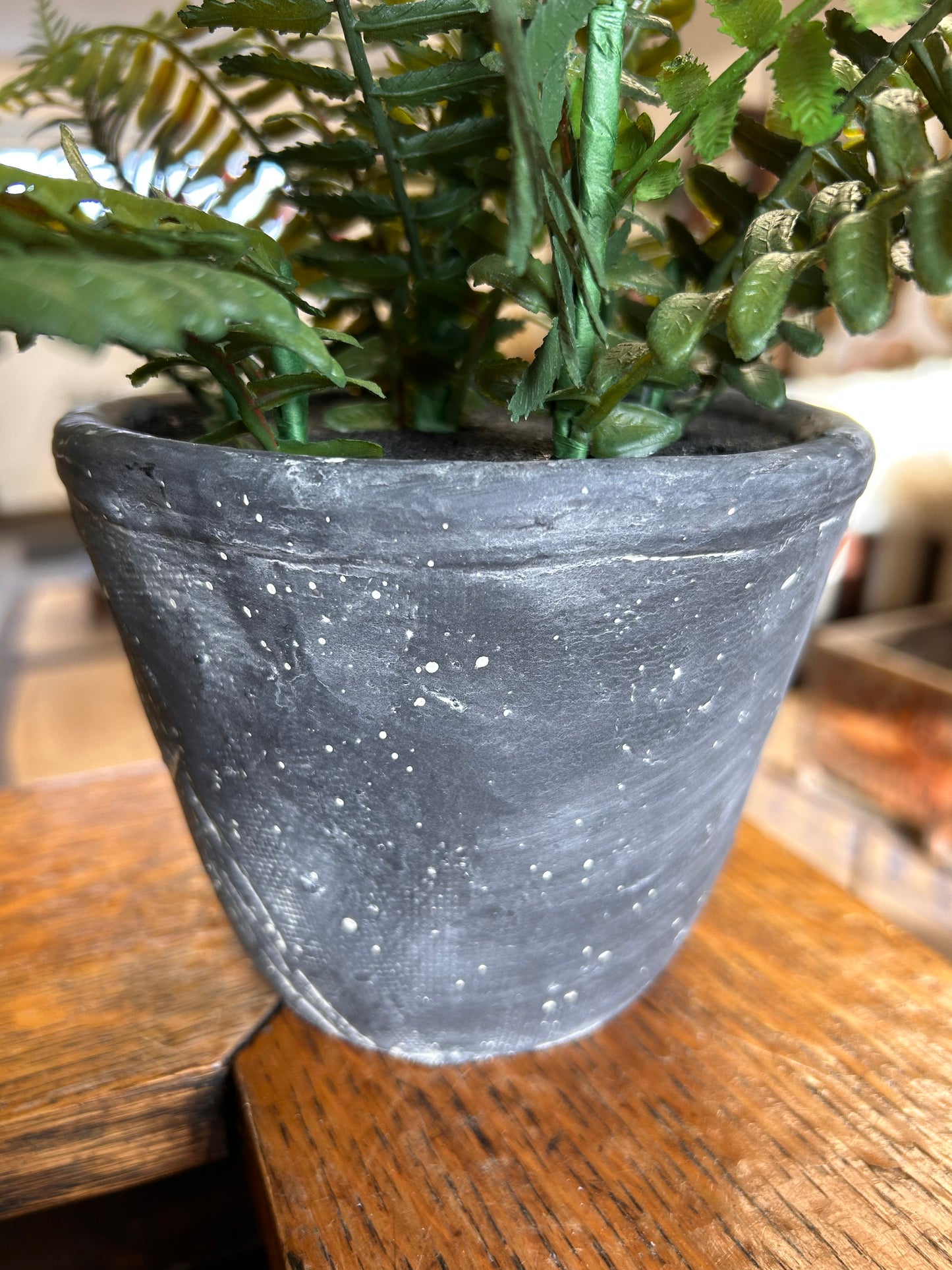 Faux potted Fern plant in heavy concrete grey pot