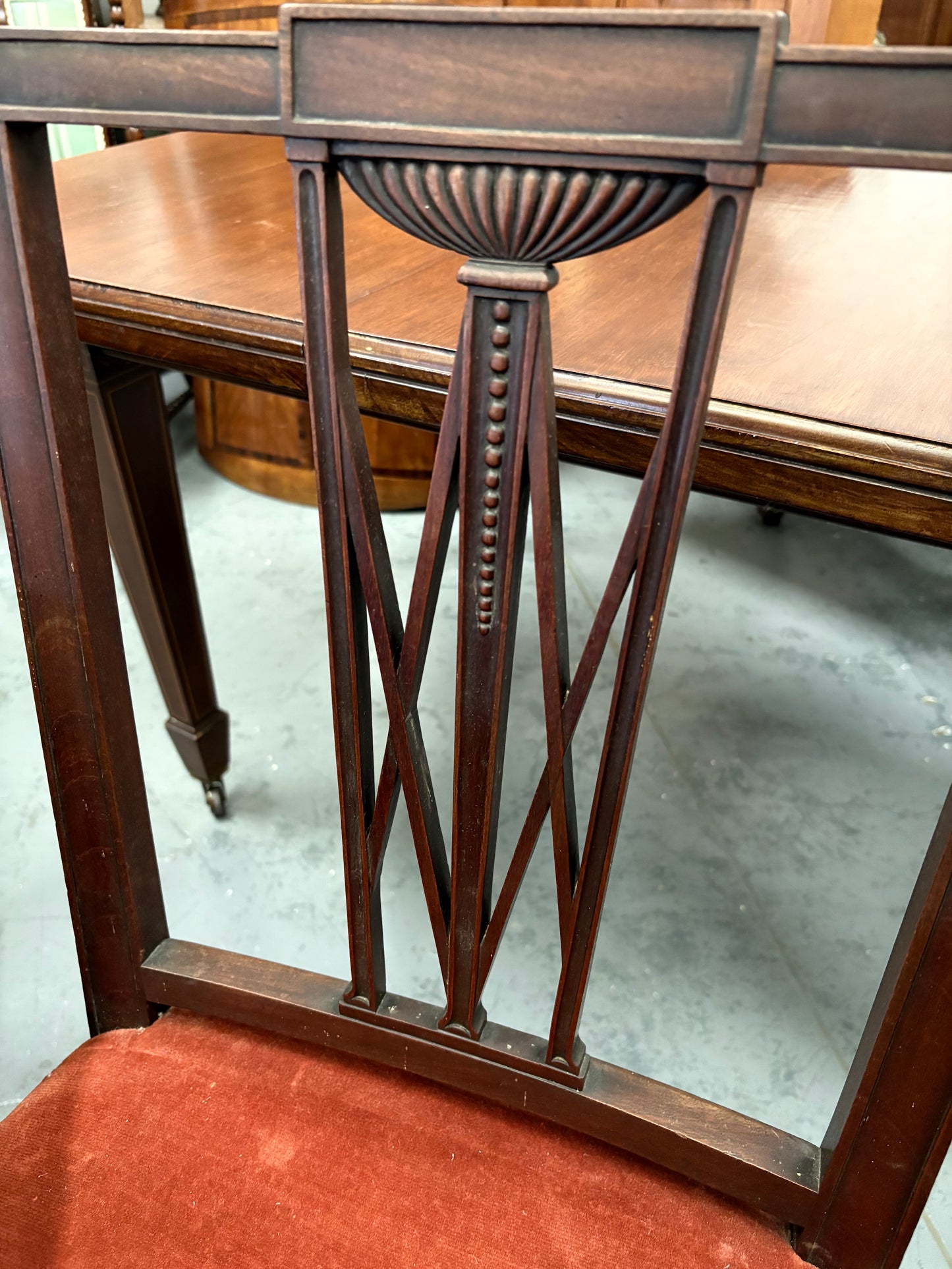 Set of Six 19th century Elegant mahogany dining chairs with Rust coloured seats
