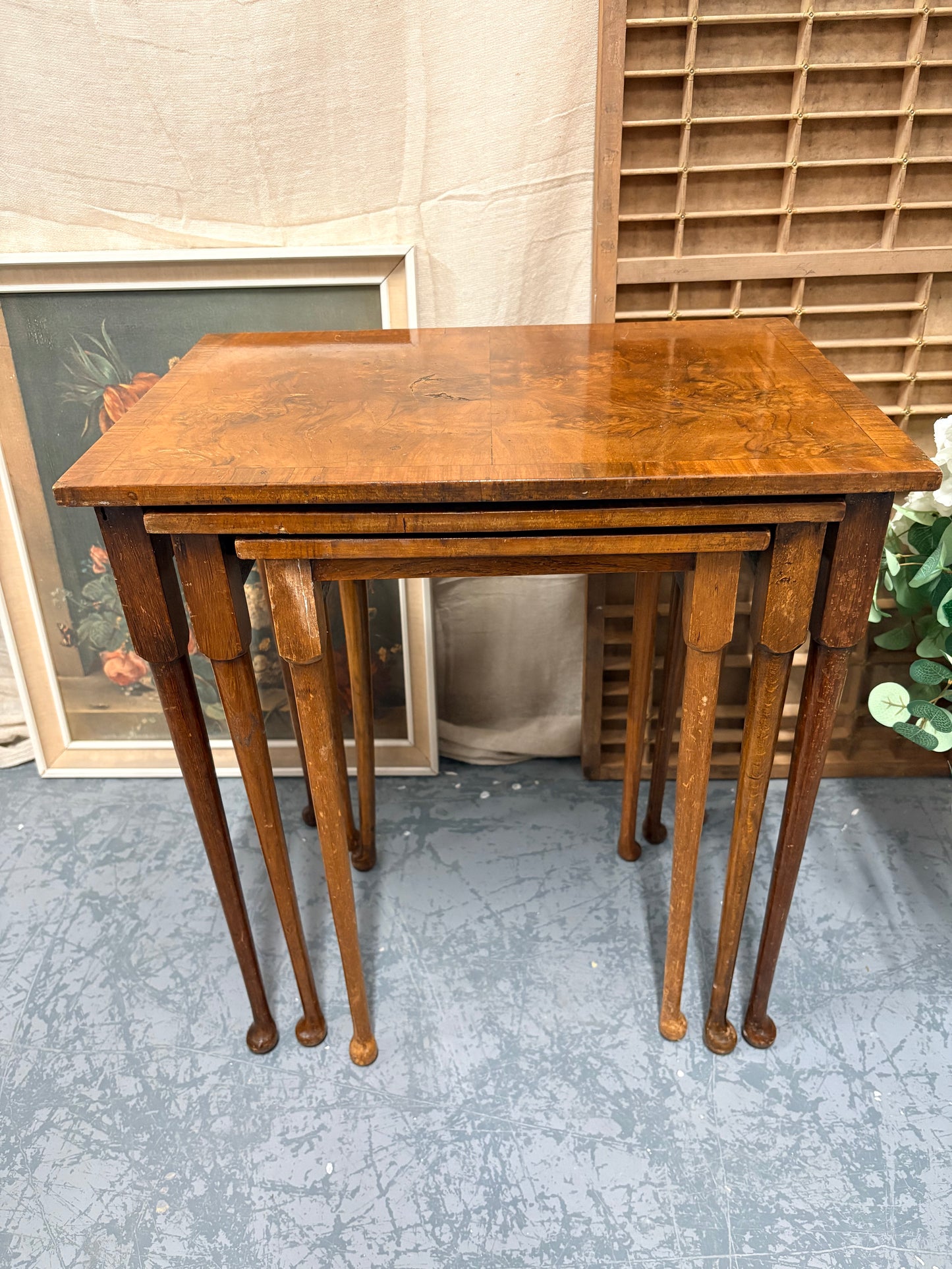 Nest of Antique Burr Walnut Coffee / lamp side / living room tables