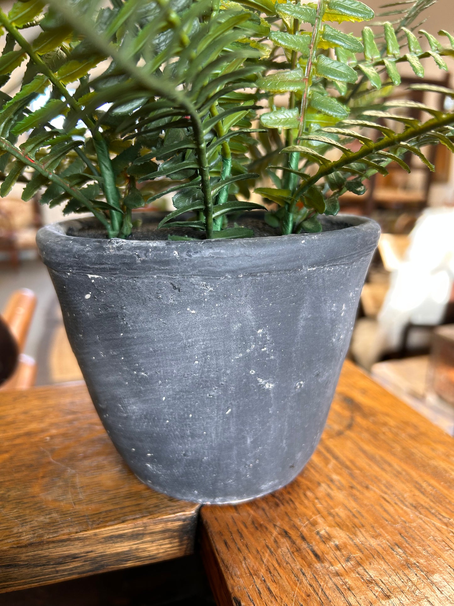 Faux potted Fern plant in heavy concrete grey pot