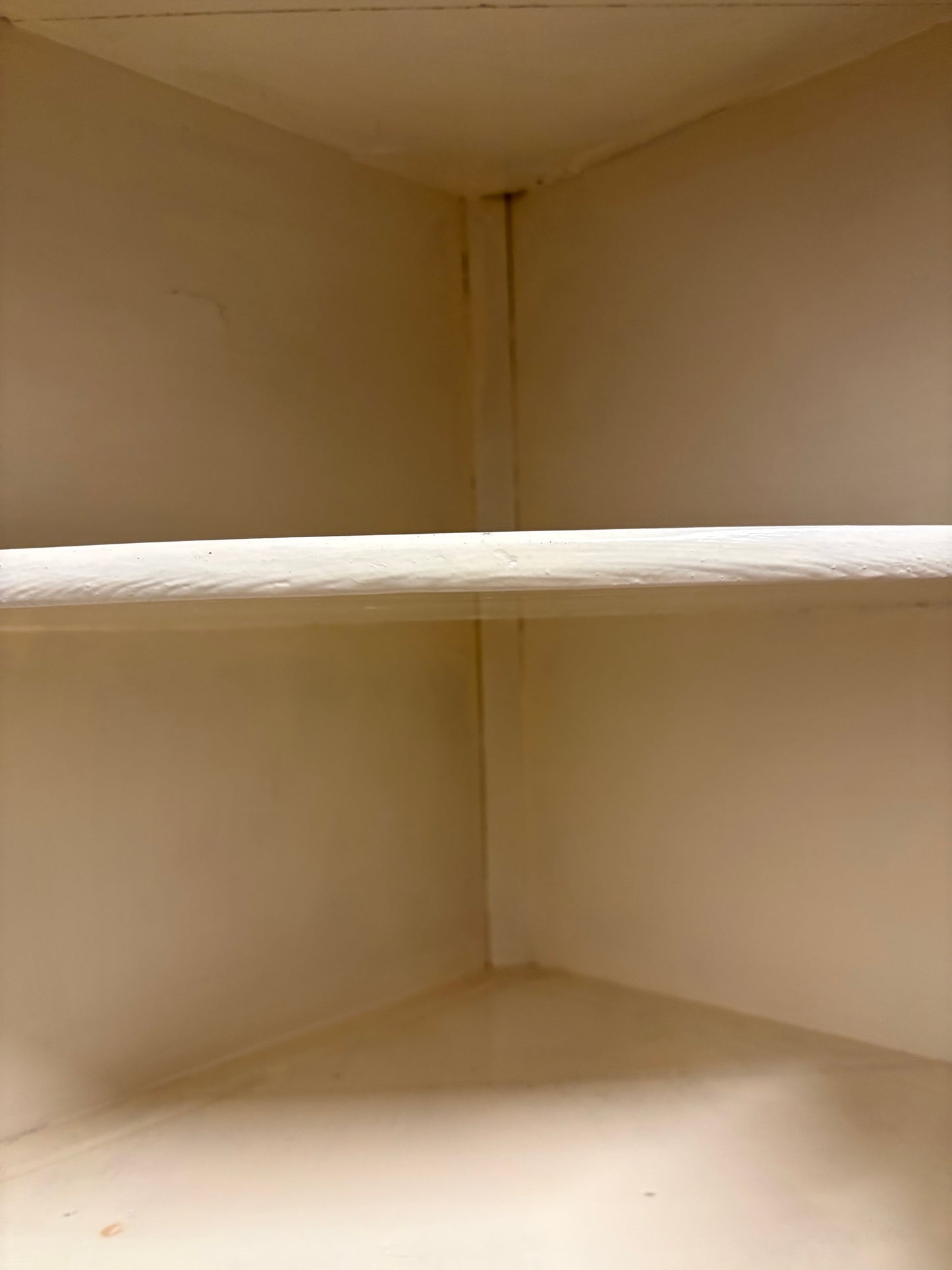 Antique Glazed Corner Wall Unit with Locking key Painted inside