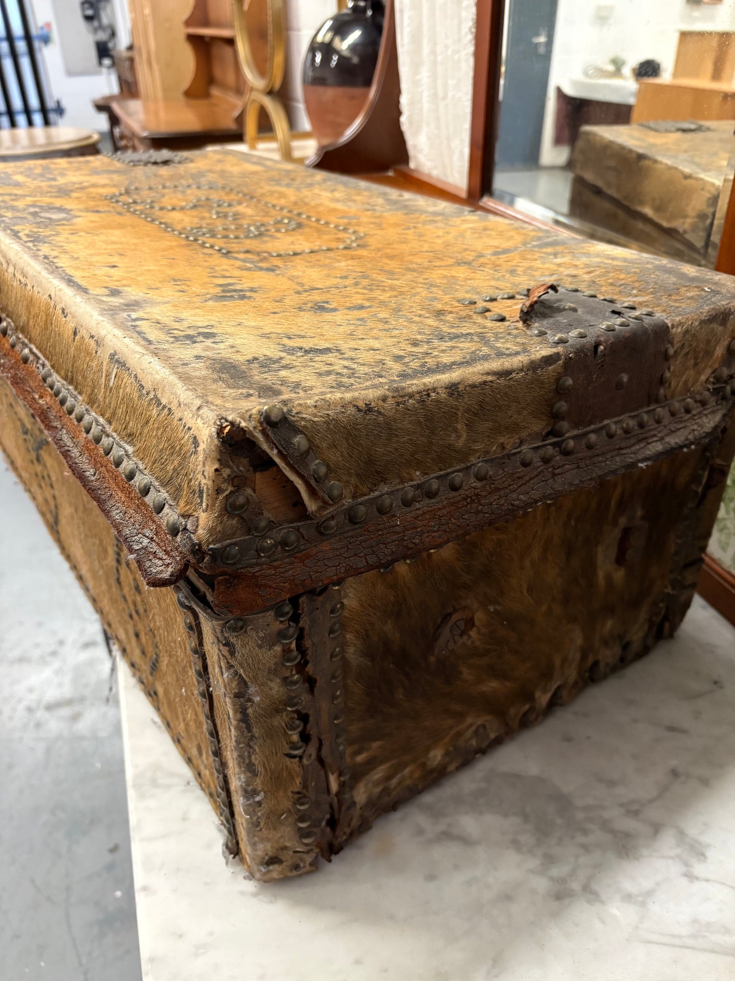 Rare Irish 19th Century Hide covered trunk Stud detail SB Initial