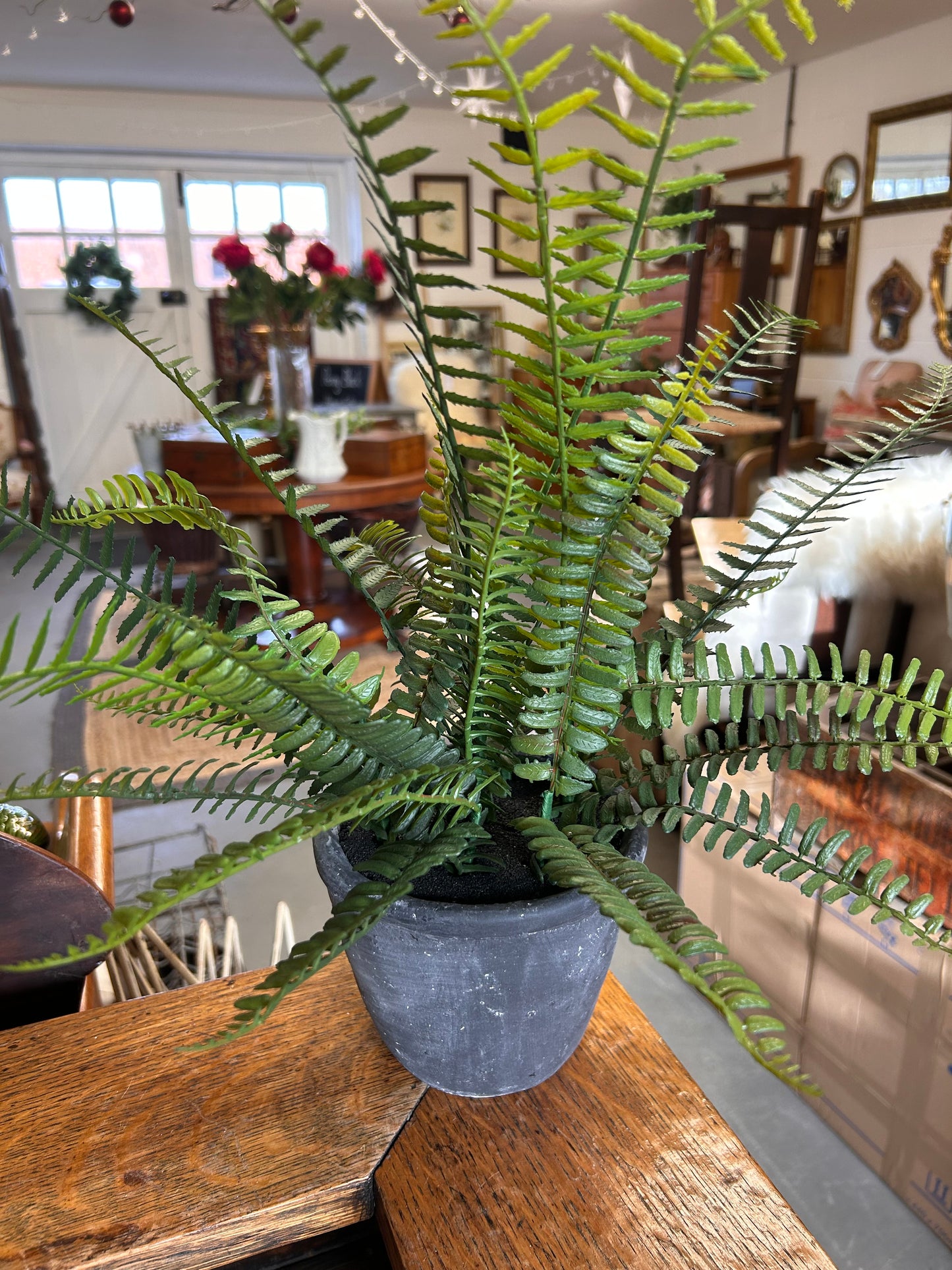 Faux potted Fern plant in heavy concrete grey pot