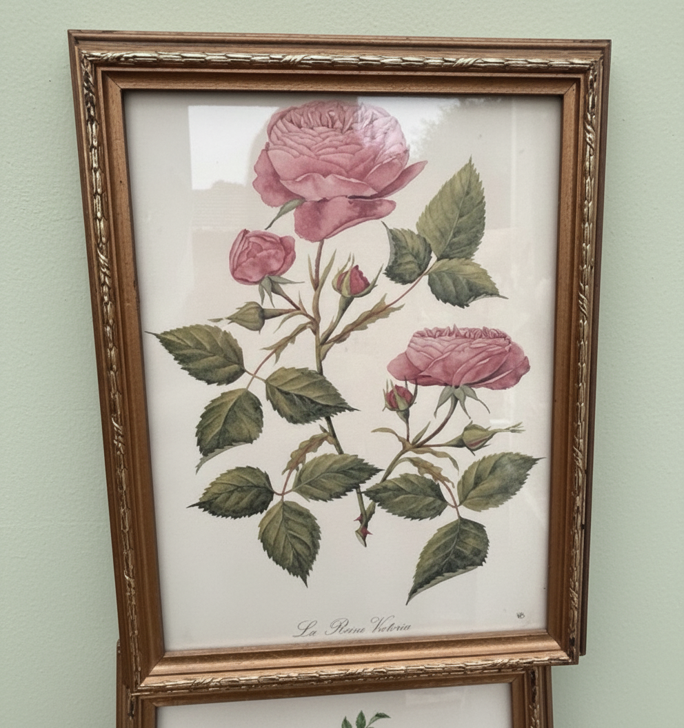 A set of four Vintage floral botanical prints in gold frames and glazed￼