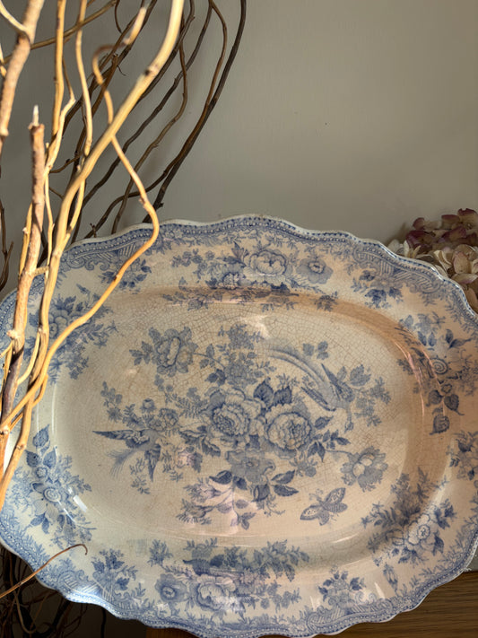 19th century large asiatic pheasant serving platter victorian antique ￼