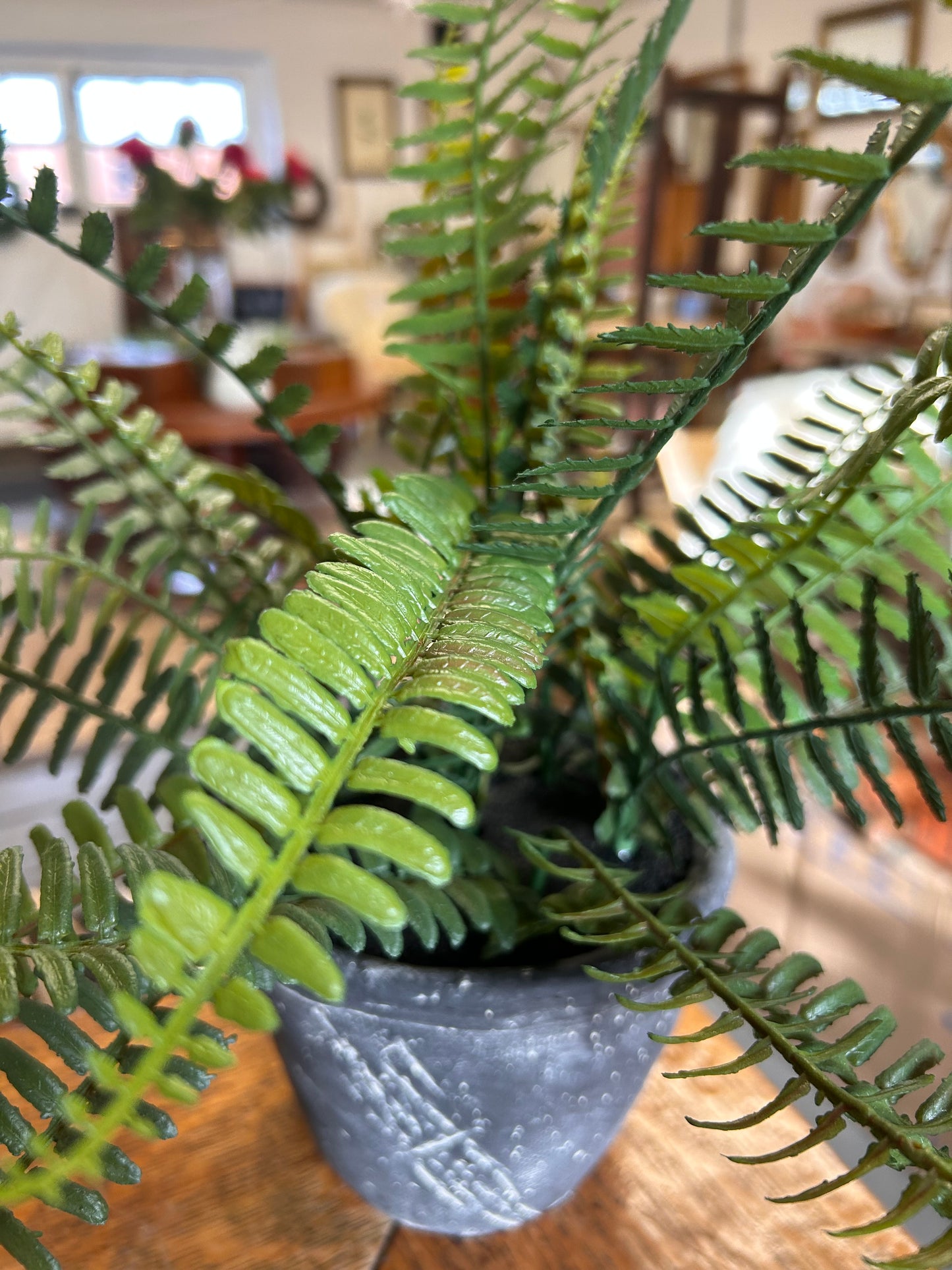 Faux potted Fern plant in heavy concrete grey pot