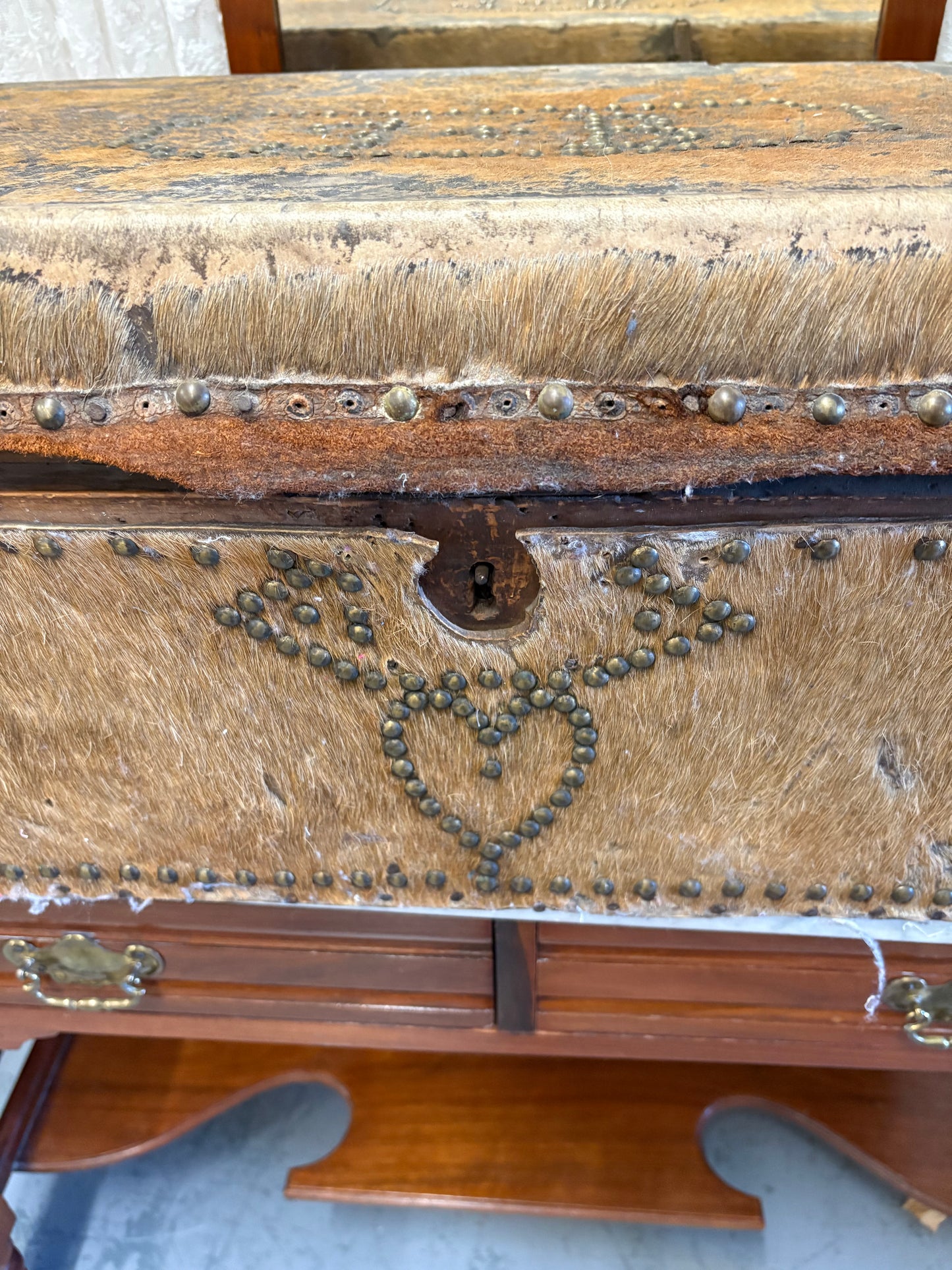 Rare Irish 19th Century Hide covered trunk Stud detail SB Initial