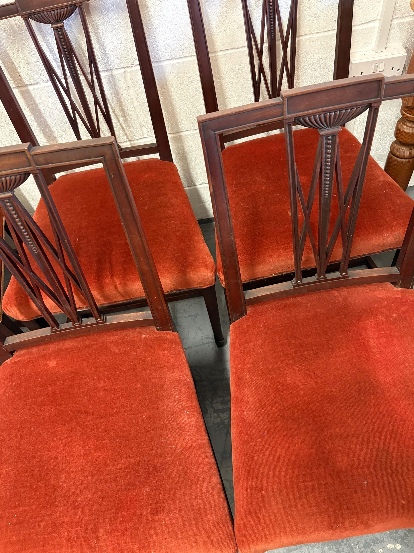 Set of Six 19th century Elegant mahogany dining chairs with Rust coloured seats