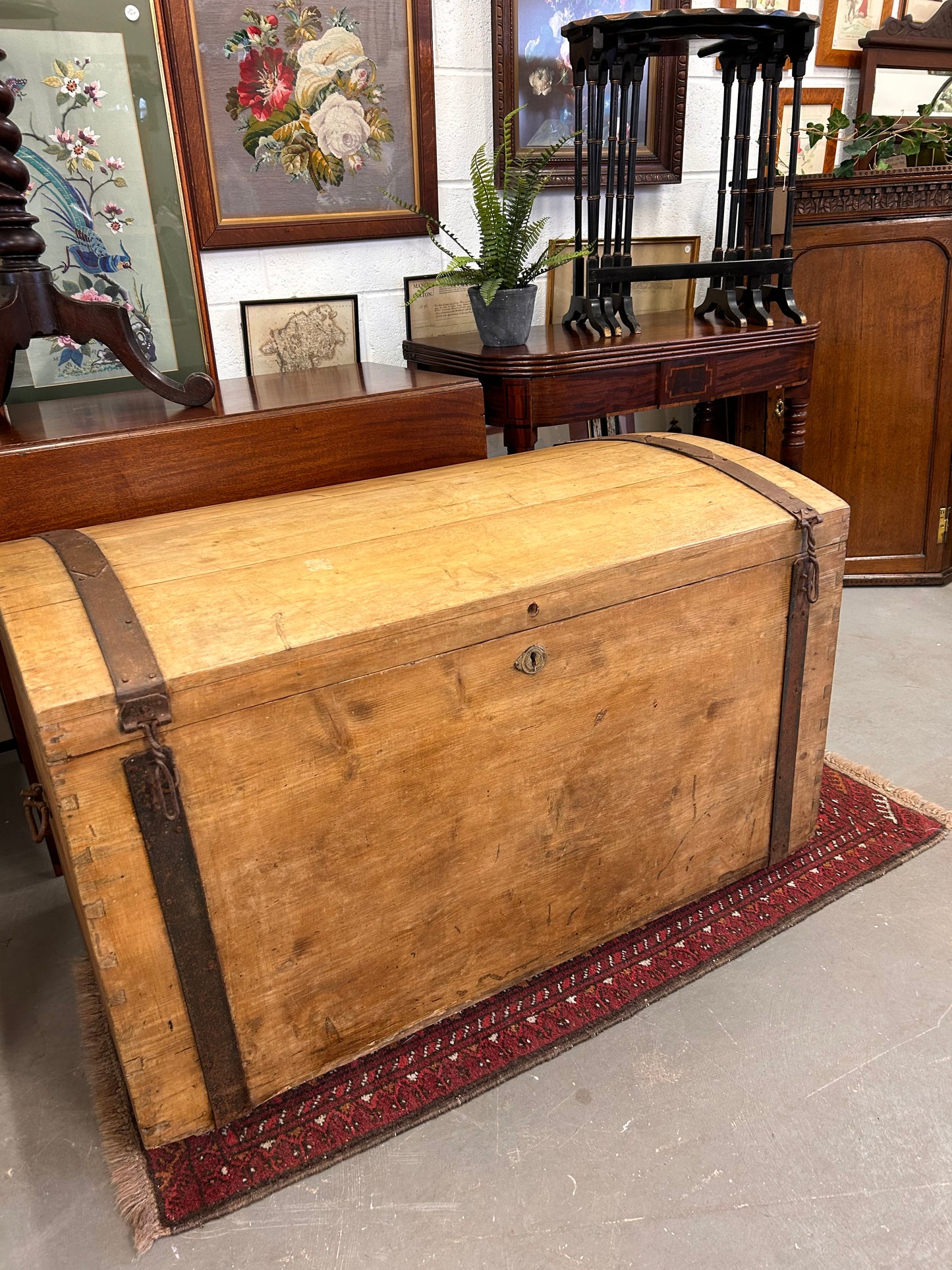 HUGE Late 19thC Pine and metal bound dome topped trunk